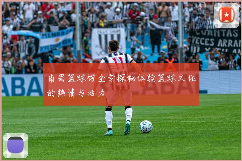 南昌篮球馆全景探秘体验篮球文化的热情与活力