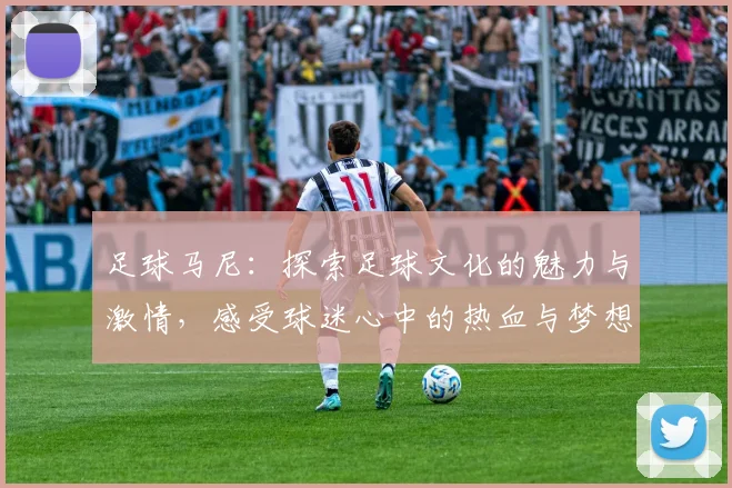 足球马尼：探索足球文化的魅力与激情，感受球迷心中的热血与梦想