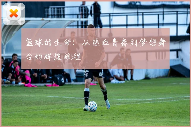 篮球的生命：从热血青春到梦想舞台的辉煌旅程