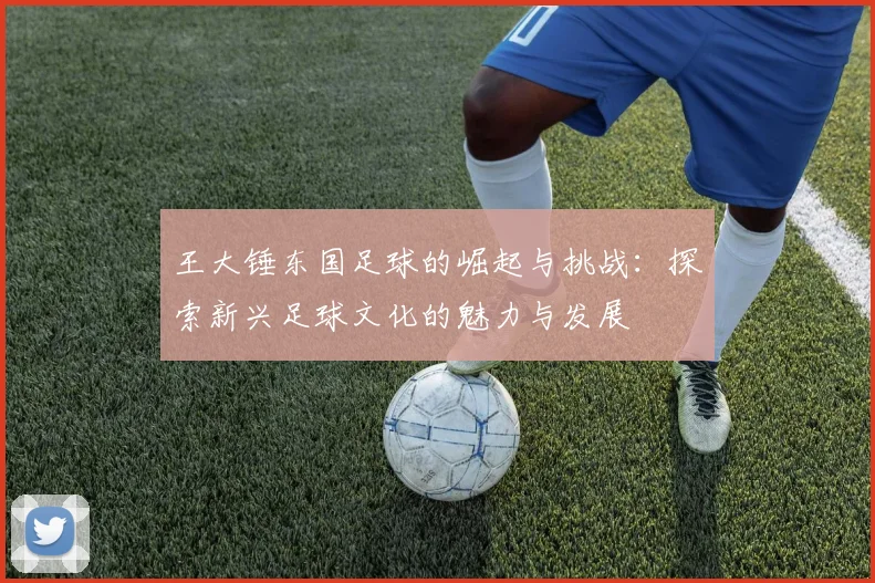 王大锤东国足球的崛起与挑战：探索新兴足球文化的魅力与发展