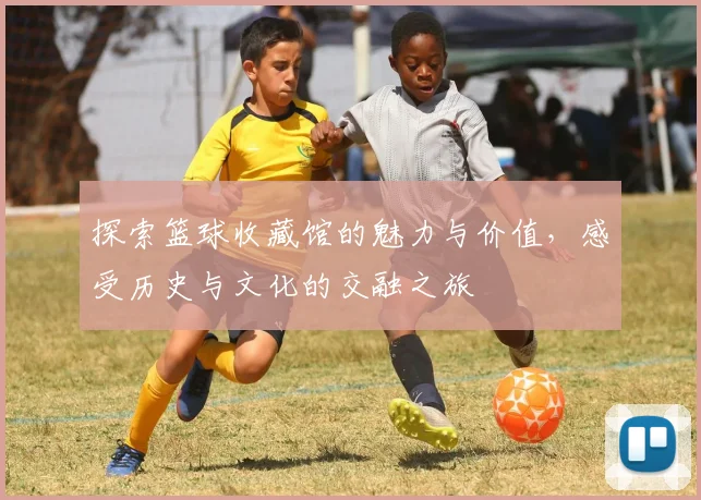 探索篮球收藏馆的魅力与价值，感受历史与文化的交融之旅