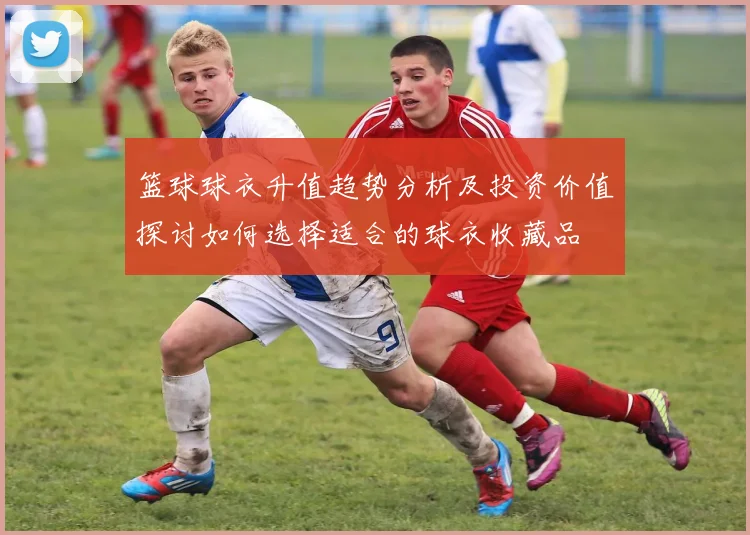 篮球球衣升值趋势分析及投资价值探讨如何选择适合的球衣收藏品